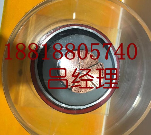 广东ag九游会j9集团电线