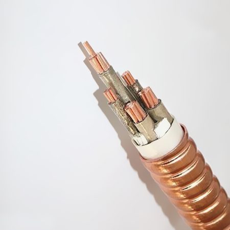 YTTW �����ʷ������