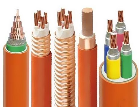 �㶫ag���λ�j9����ʵҵ���޹�˾