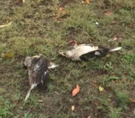 �㶫ag���λ�j9����ʵҵ���޹�˾