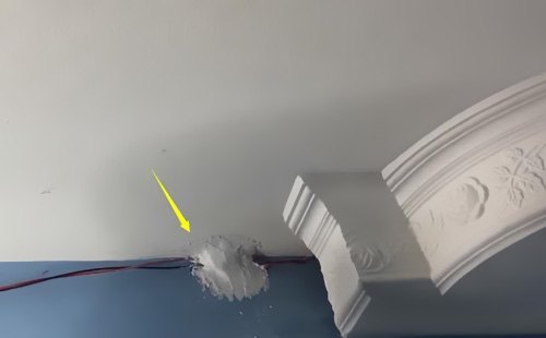 �㶫ag���λ�j9����ʵҵ���޹�˾