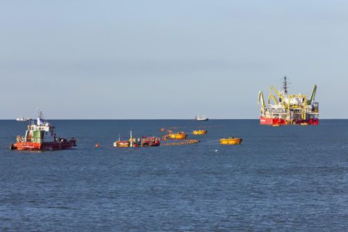 �Ϳ�ɭ���Beatrice���Ϸ�糡�������������