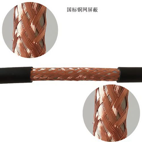 RVVP��ʲô���� 