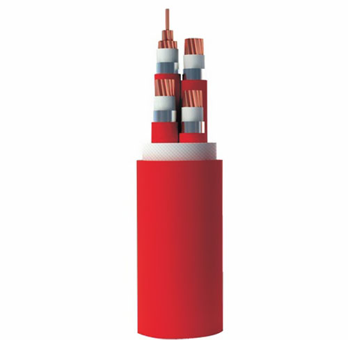 �����Ե�����ͺ�����Щ