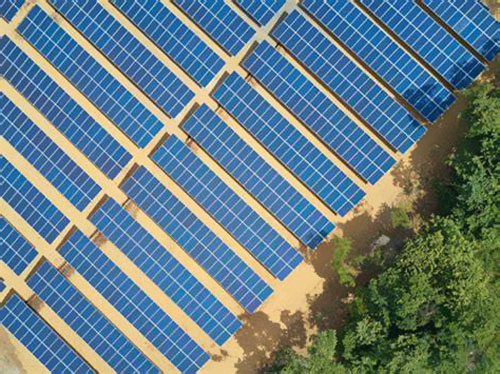 ��2025��ӡ��̫��������ɱ�����ú���൱