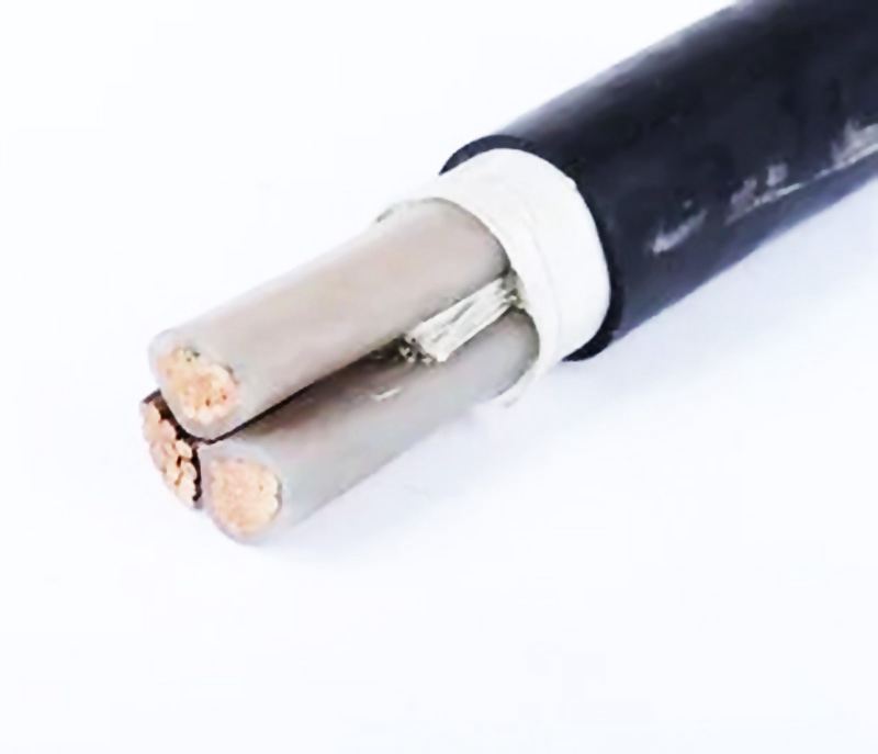 �����������